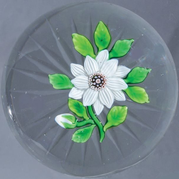 Presse-papiers orné d'une double clématite blanche à deux rangs de six pétales striés et d'un bonbon central tricolore à fléchettes, sur une tige verte portant neuf feuilles et un bouton blan