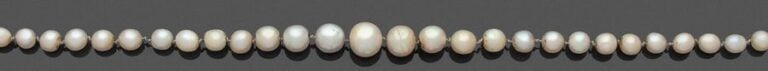 •RANG de perles fines et perles de culture, en chut
