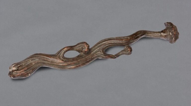 Rare champignon lingzhi d’une taille exceptionnelle en forme de sceptre nyoi (appellation signifiant « selon le désir»