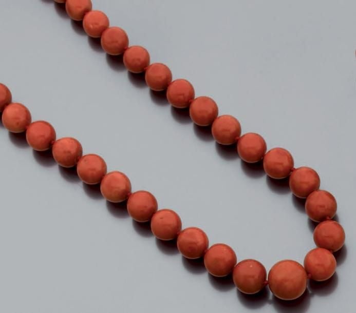 SAUTOIR composé d'un rang de perles de corail en chut