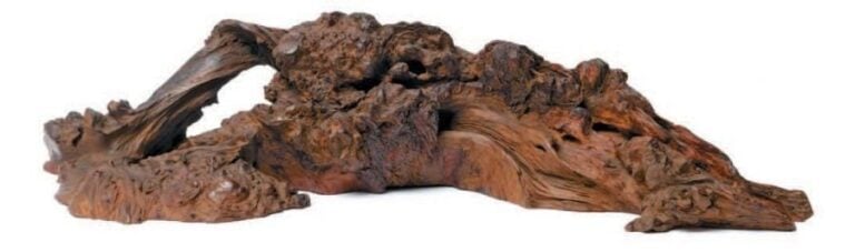 Socle de bois Tochi en forme de racine d'arbr