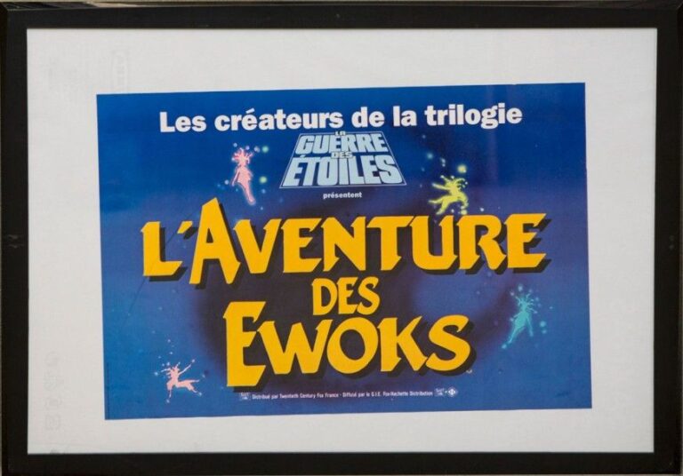 Star Wars / L'Aventure des Ewoks Affiche Lalande courbet 53 x 37 Occasion encadré 1984 France Tres bon état