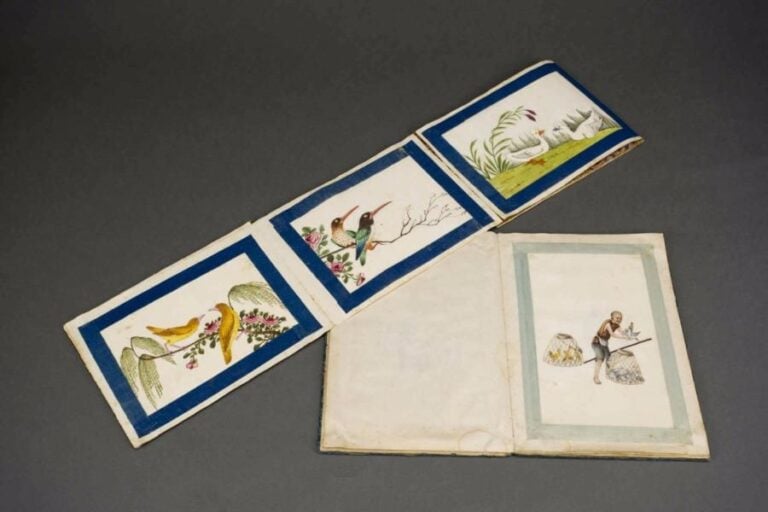 SUITE DE DEUX LEPORELLI COMPRENANT DES PEINTURES CHINOISES D'EXPORTATION [24 AU TOTAL] Chine, Fin de la Dynastie Qing, Epoque XIXe siècle > Le premier de livre accordéon / leporello comprend 12 gouaches sur "papier de riz" ("papier de moëlle") représentant des oiseaux dont toucans, faucons et oiseaux de Paradi