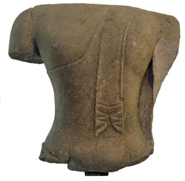 Torse