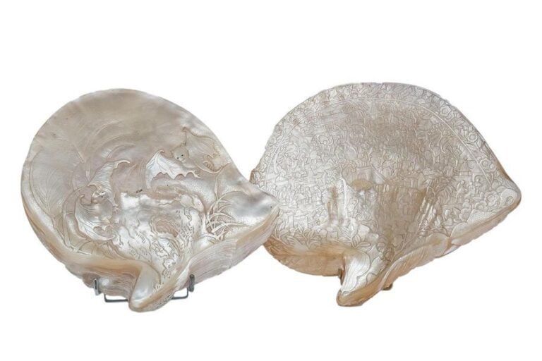 [X] CONQUE / PINTADINE SCULPTEE DE DEUX CHAUVES-SOURIS
