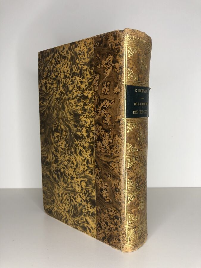 DARWIN (Charles). - De l'origine des espèces par sélection naturelle ou des loi…