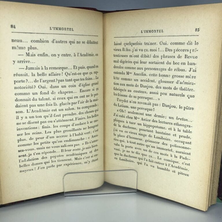 DAUDET (Alphonse). - L'immortel, moeurs parisiennes. Édité à Paris chez Alhpons…