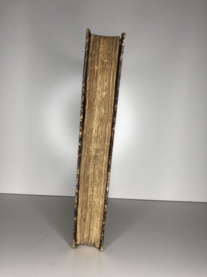 FABRE (D'envieu J.) - Les origines de la Terre et de l'Homme d'après la bible e…