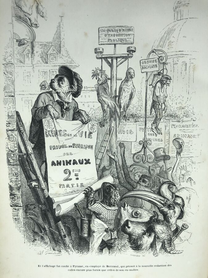 GRANDVILLE / STAHL, P.-J. - Scènes de la vie privée et publique des animaux, to…