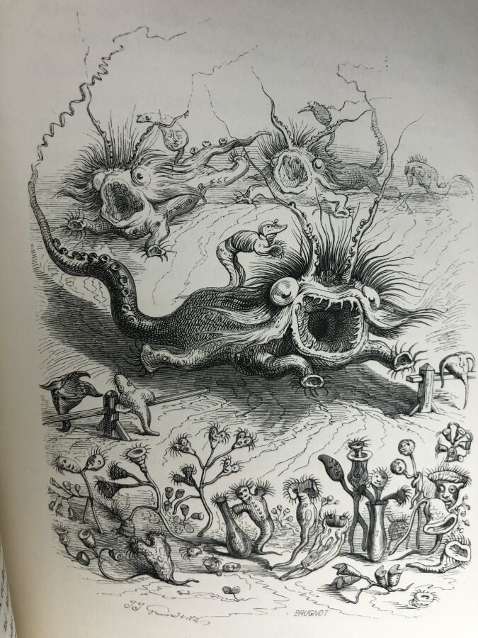 GRANDVILLE / STAHL, P.-J. - Scènes de la vie privée et publique des animaux, to…