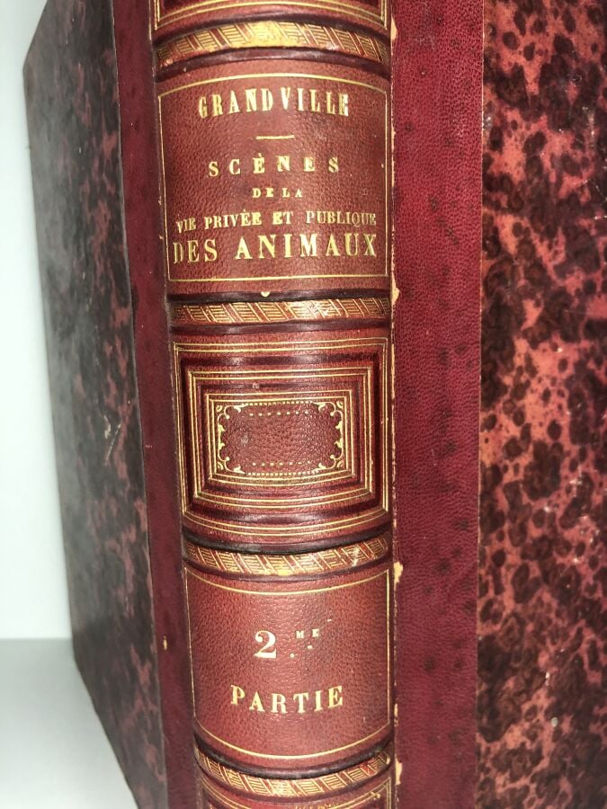 GRANDVILLE / STAHL, P.-J. - Scènes de la vie privée et publique des animaux, to…