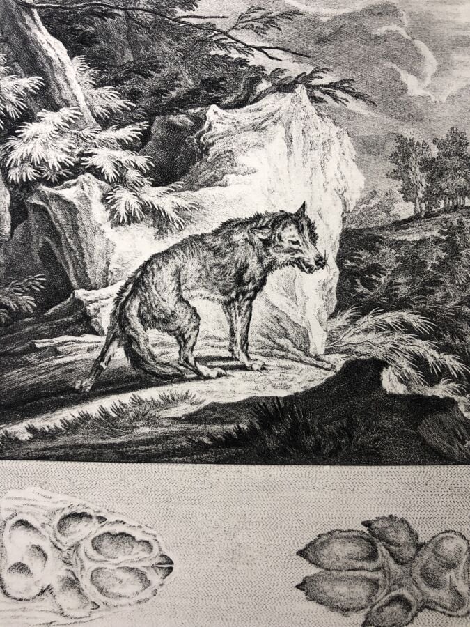 LE VERRIER DE LA CONTERIE. - L'école de la chasse aux chiens courants. Édité à…