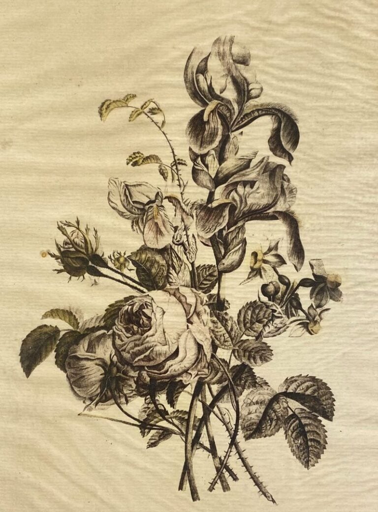 Lot de cinq gravures représentant des natures mortes aux fleurs - 30 x 22 cm -…