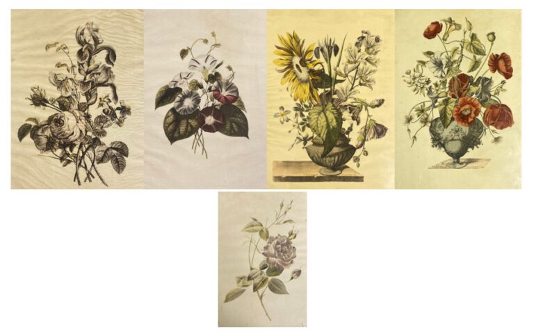 Lot de cinq gravures représentant des natures mortes aux fleurs - 30 x 22 cm -…