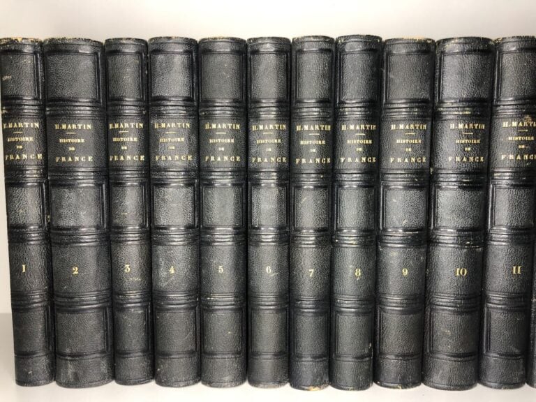 MARTIN (Henri). - Histoire de France, collection en 19 volumes. Édité à Paris c…