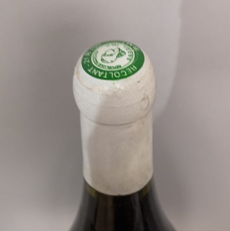 1 magnum POMMARD - Domaine JOLIOT 2000 Etiquette légèrement tachée.