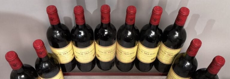 10 bouteilles Château LYNCH MOUSSAS - 5ème Gcc Pauillac 1998 Etiquettes légèrem…