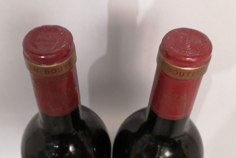 2 bouteilles Château CORMEIL FIGEAC - Saint Emilion Grand Cru 1989 Etiquettes l…