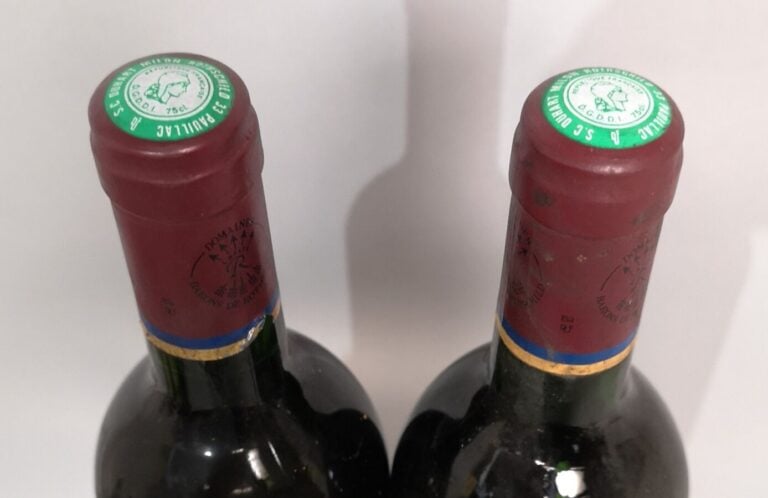 2 bouteilles Château DUHART MILON - 4ème Gcc Pauillac 1992 Etiquettes légèremen…