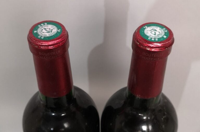 2 bouteilles Château GRAND PUY DUCASSE - 5ème Gcc Pauillac 2004 Etiquettes légè…