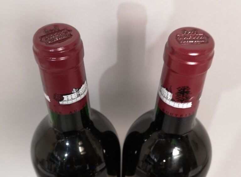 2 bouteilles Château LAFITE ROTHSCHILD - 1er Gcc Pauillac 1995