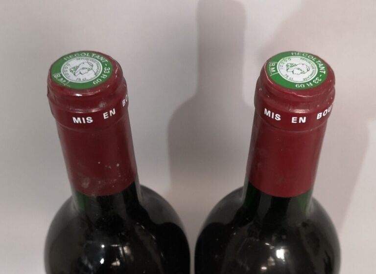 2 bouteilles Château LYNCH BAGES - 5ème Gcc Pauillac 1992 Etiquettes tachées.…