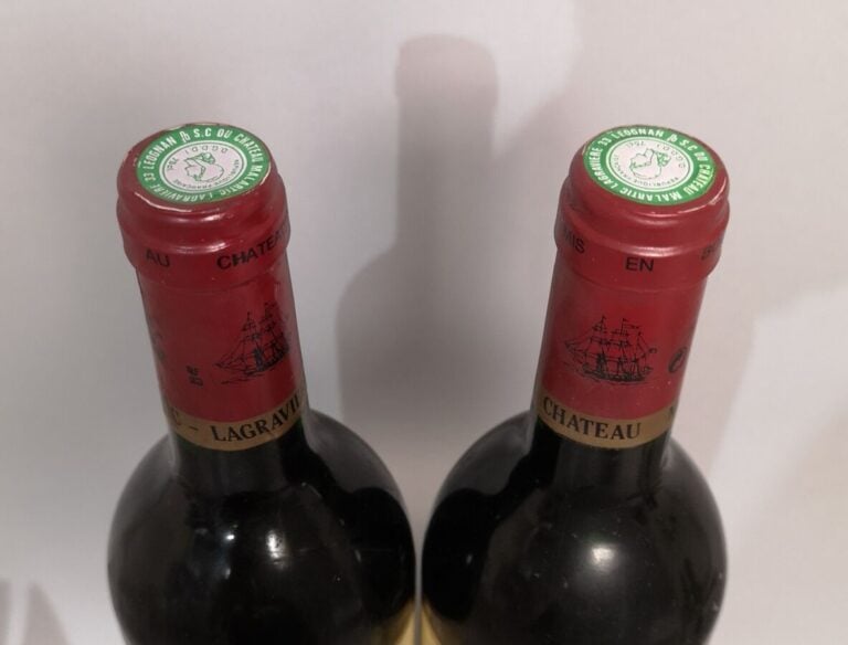 2 bouteilles Château MALARTIC LAGRAVIERE - Pessac Léognan 1995 Etiquettes taché…