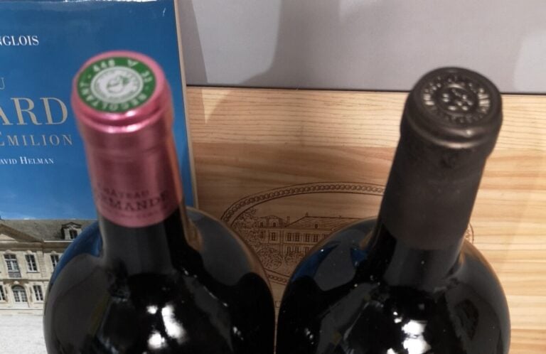 2 magnums SAINT EMILION Grand Cru MILLESIME 2006 1 Château LARMANDE et 1 Châtea…