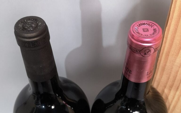 2 magnums SAINT EMILION Grand Cru MILLESIME 2015 1 Château LARMANDE et 1 Châtea…