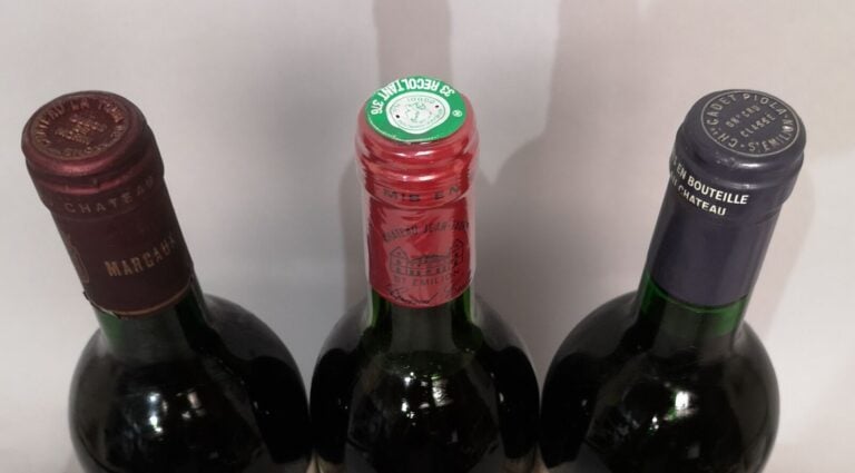 3 bouteilles BORDEAUX DIVERS 1 Ch. CADET PIOLA - St Emilion Gc 1989 1 Ch. La TO…