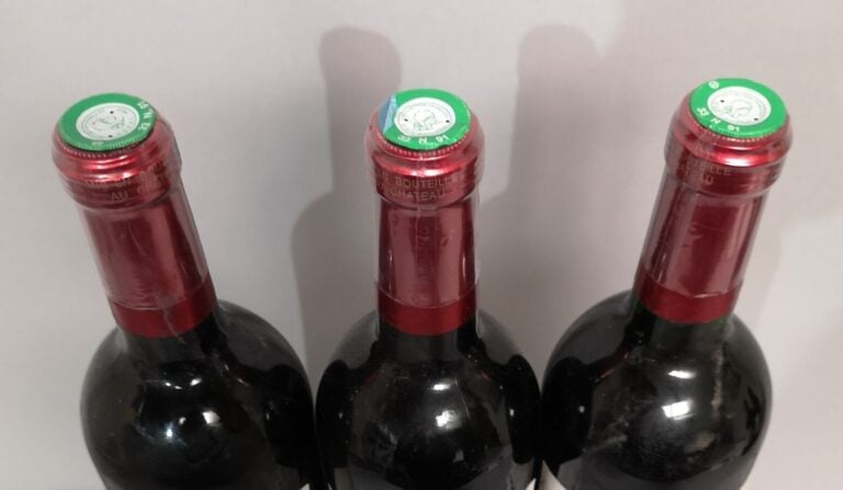 3 bouteilles Château GRAND PUY DUCASSE - 5ème Gcc Pauillac 1998 Etiquettes légè…