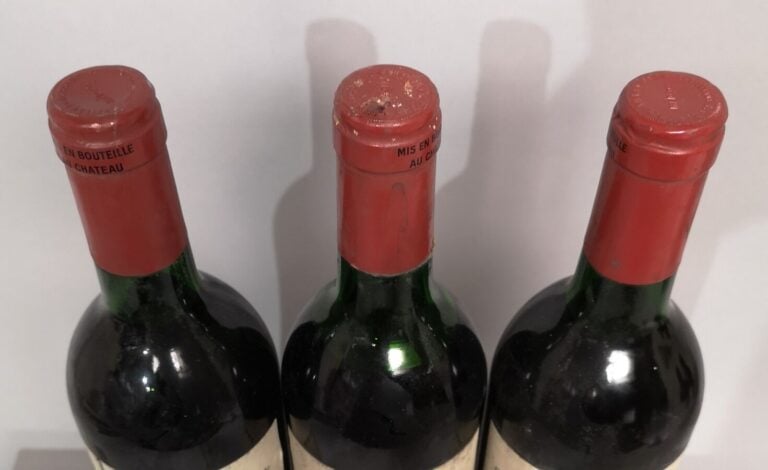 3 bouteilles Château LANESSAN - Haut Médoc 1989 Etiquettes légèrement tachées e…