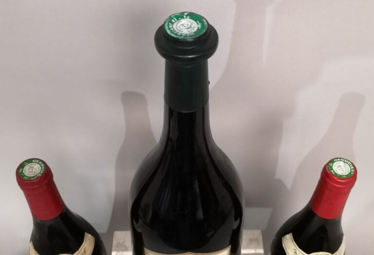 3 Flacons VINS DIVERS FRANCE A VENDRE EN L'ETAT 1 magnum CHINON "L'Exceptionnel…