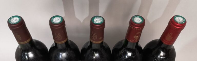 5 bouteilles BORDEAUX AOC MARGAUX 1 Château GISCOURS 3e Gcc 2005, 1 Ch. BOYD CA…