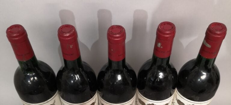 5 bouteilles Château CROIZET BAGES - 5ème Gcc Pauillac 1993 Etiquettes légèreme…