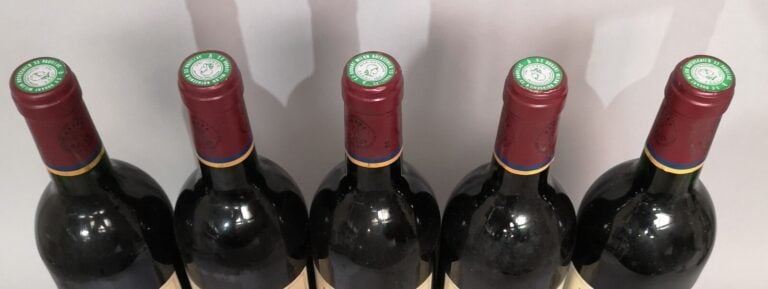 5 bouteilles Château DUHART MILON - 4ème Gcc Pauillac 1994 Etiquettes légèremen…