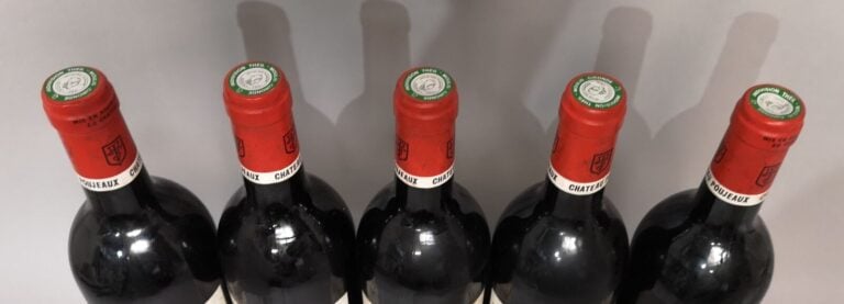 5 bouteilles Château POUJEAUX - Moulis en Médoc 1993 Etiquettes légèrement tach…