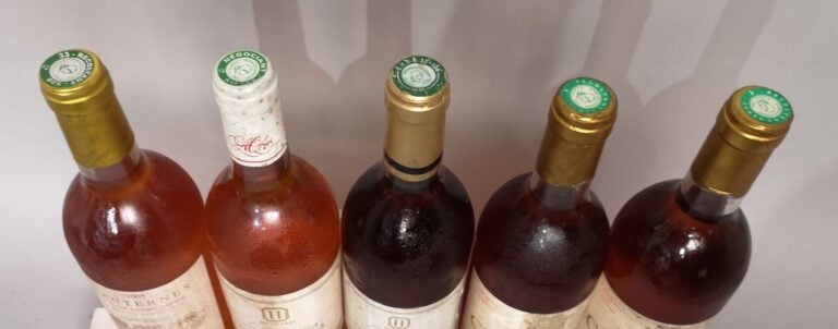5 bouteilles SAUTERNES DIVERS 1 Ch. HAUT BERGERON 2003, 2 Ch. BOUYOT 1990 et 2…