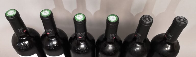 6 bouteilles BORDEAUX DIVERS "CLUB des SOMMELIERS" 3 Pessac-Léognan 2009 du Ch.…