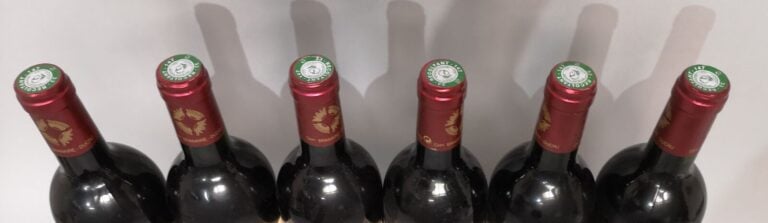 6 bouteilles Château BRANAIRE DU CRU - 4ème Gcc Saint Julien 2001 Etiquettes lé…