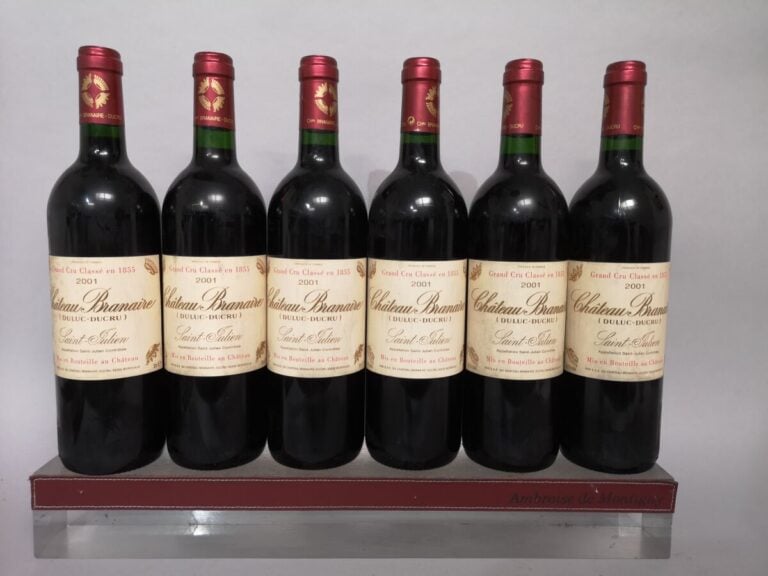 6 bouteilles Château BRANAIRE DU CRU - 4ème Gcc Saint Julien 2001 Etiquettes lé…