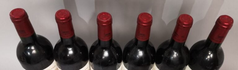 6 bouteilles Château CHEVAL BLANC - 1er Gc Saint Emilion 1995 Etiquettes légère…