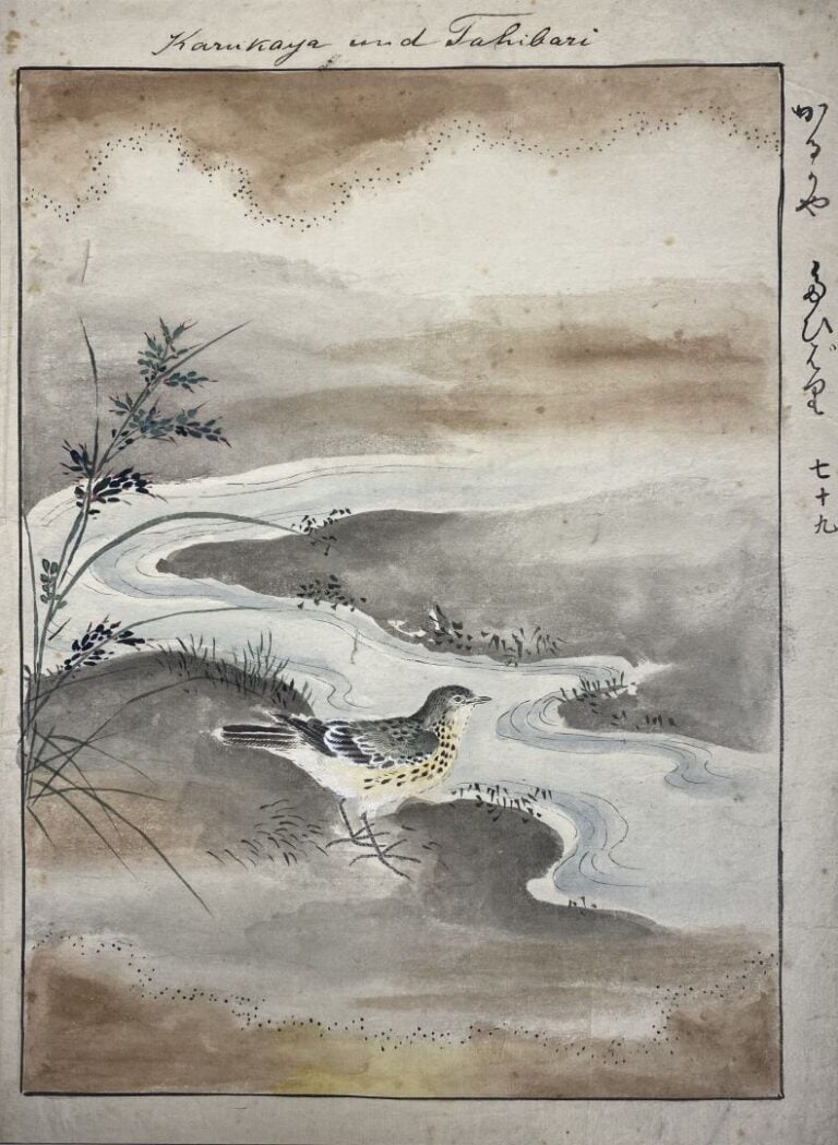 Chine et Japon - Ensemble de dix-sept dessins, estampes et reproduction par div…