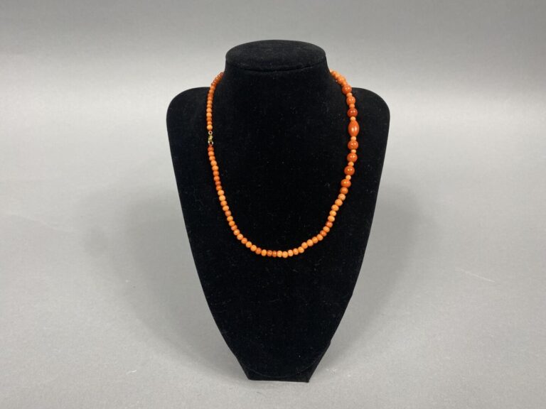 Collier formé de perles de corail orange et rouge (Corallium spp) . La partie c…
