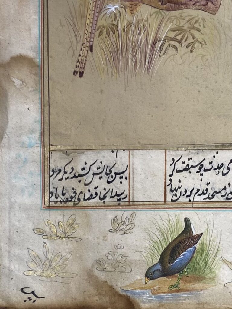 Perse - Ensemble de deux pages de manuscrits aquarellées à décor d'oiseaux et c…