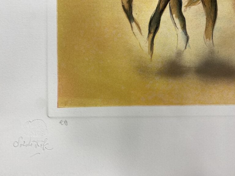 Salvador DALI (1904-1989), d'après - La bataille de Tetouan - Lithographie en c…