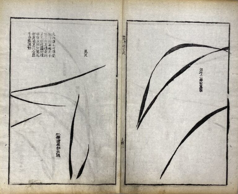 Wang Gai (1677-1705) - Qing zai tang lan pu - Recueil moderne des orchidées, de…