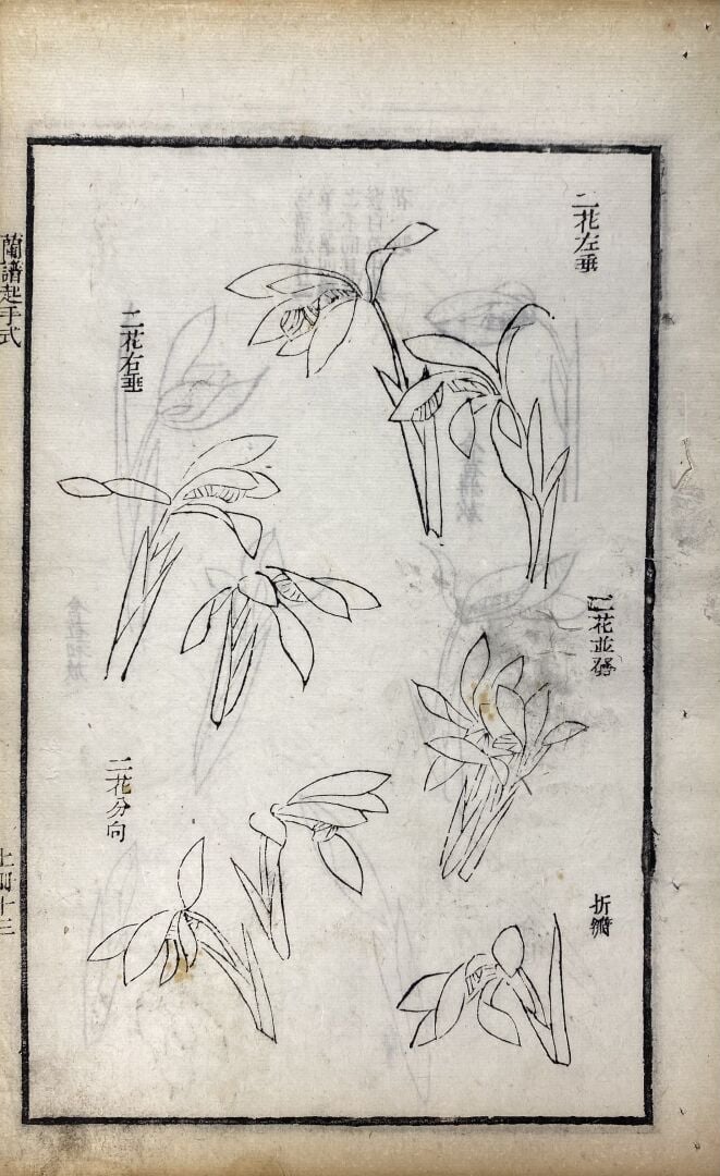 Wang Gai (1677-1705) - Qing zai tang lan pu - Recueil moderne des orchidées, de…