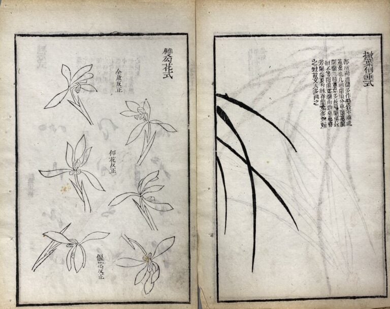 Wang Gai (1677-1705) - Qing zai tang lan pu - Recueil moderne des orchidées, de…