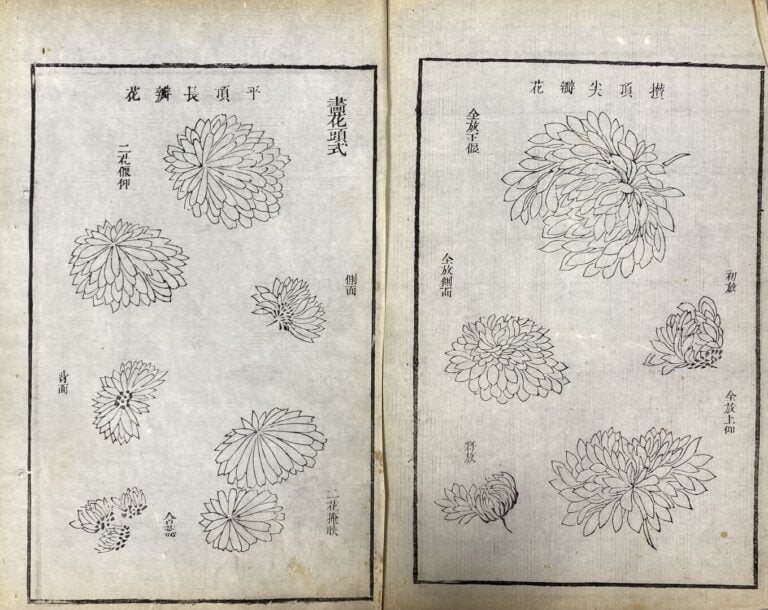 Wang Gai (1677-1705) - Qing zai tang lan pu - Recueil moderne des orchidées, de…